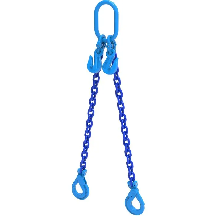 Two Leg Chain Sling G10